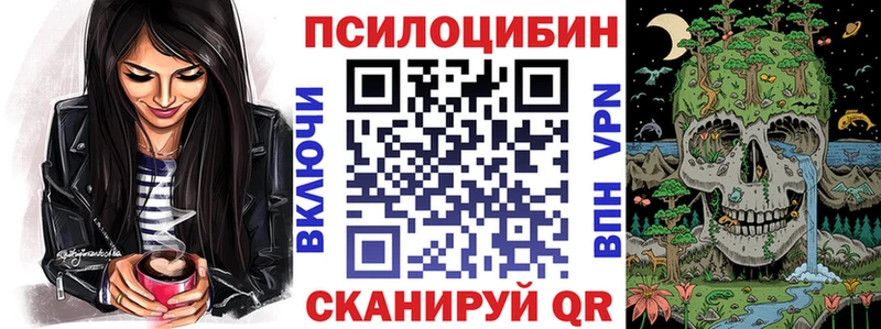 hydra tor  Заволжск  Псилоцибиновые грибы ЛСД 